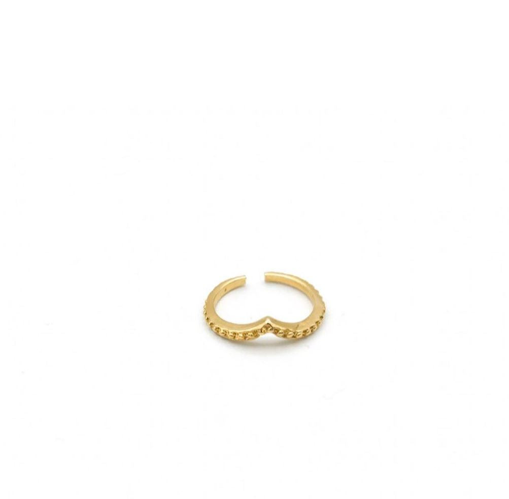 crown ring gold jewelry fashion trendy