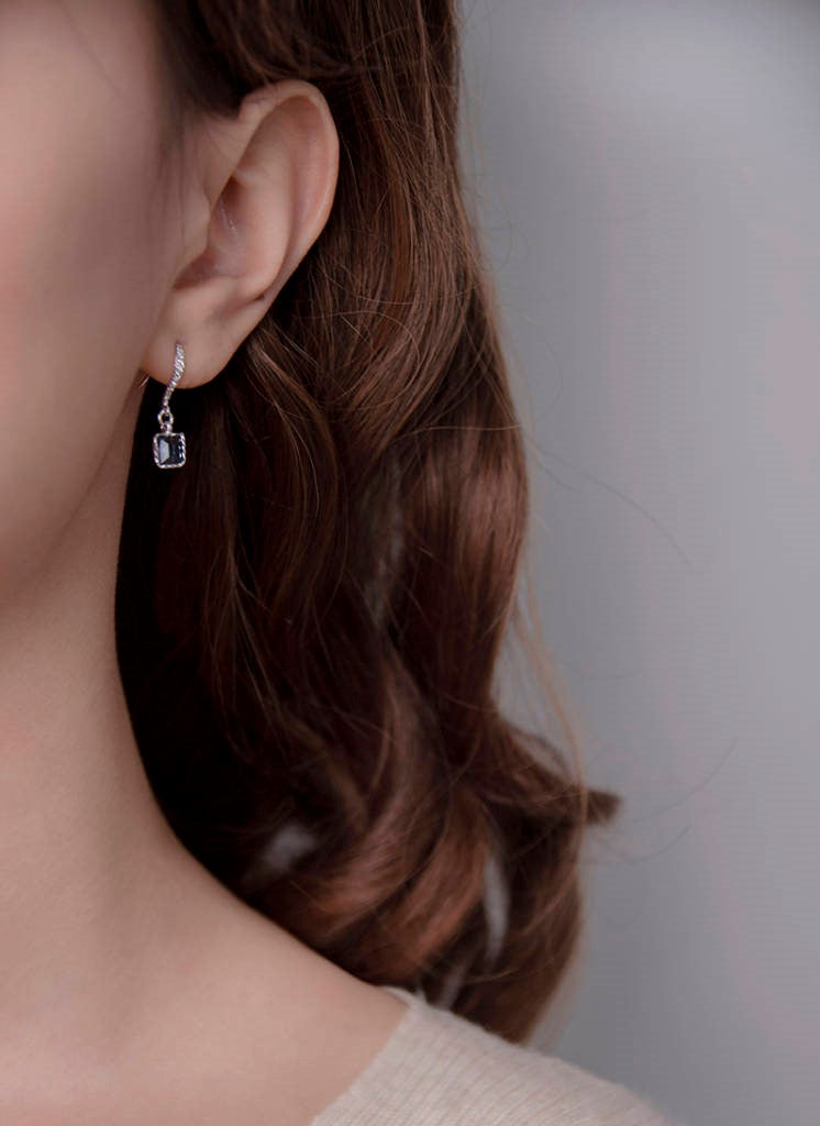 Fish Hook Earrings