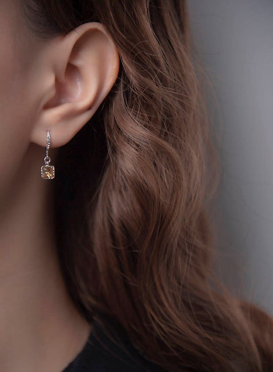 Fish Hook Earrings